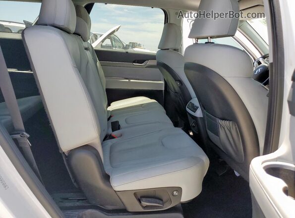 KM8R4DHEXLU073498 2020 HYUNDAI PALISADE White Вид задньої частини салону