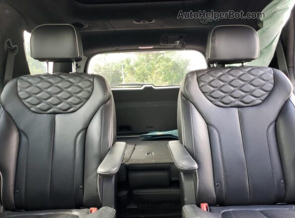 KM8R54HE0LU097757 2020 HYUNDAI PALISADE Silver Widok tylnych siedzeń
