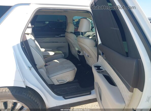 KM8R54HE4LU093727 2020 HYUNDAI PALISADE White Vista de la etiqueta del VIN