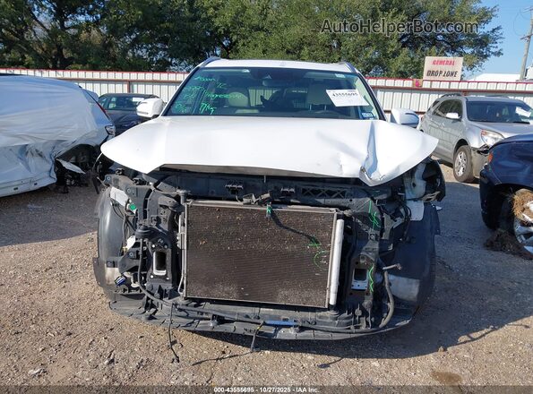 KM8R54HE8LU073433 2020 HYUNDAI PALISADE Белый Вид задней части салона