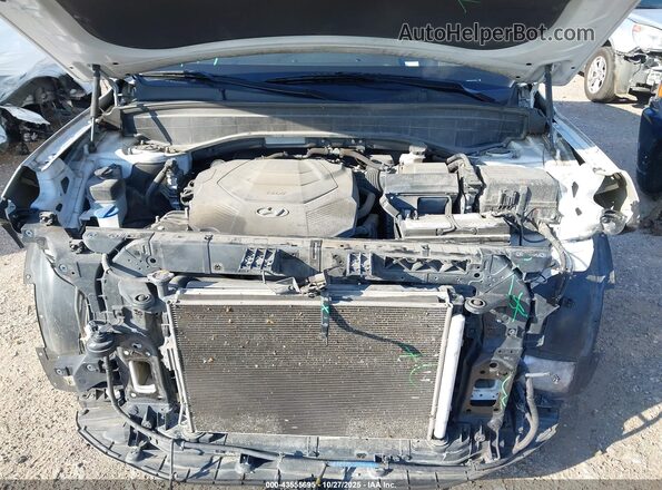 KM8R54HE8LU073433 2020 HYUNDAI PALISADE Белый Вид сзади
