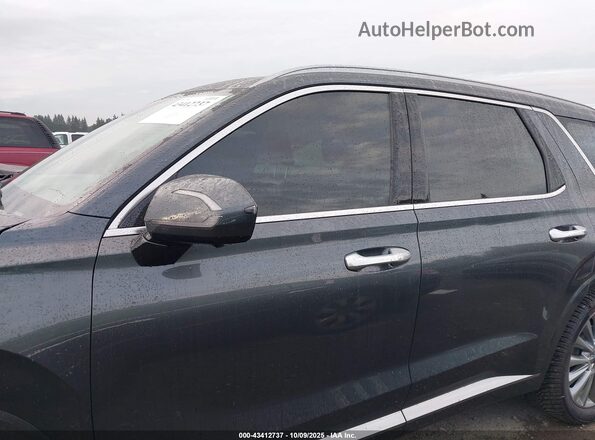 KM8R5DHE2LU052416 2020 HYUNDAI PALISADE Синий Панорамный вид салона 360°
