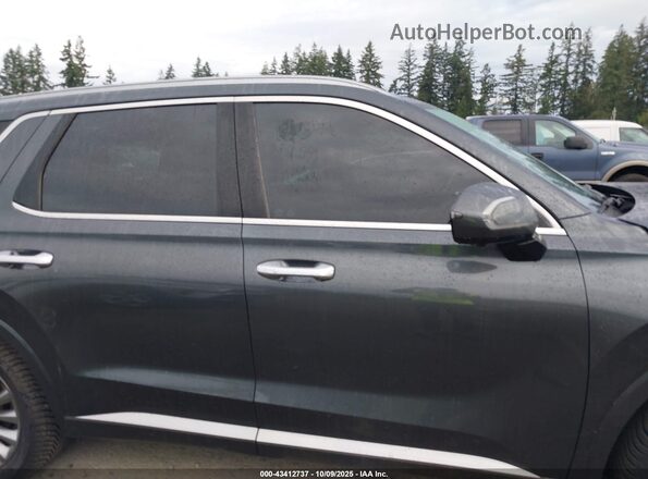 KM8R5DHE2LU052416 2020 HYUNDAI PALISADE Синий Вид задней части салона