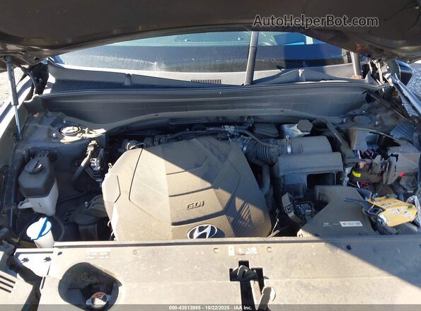 KM8R5DHE4LU146927 2020 HYUNDAI PALISADE Black Widok z tyłu