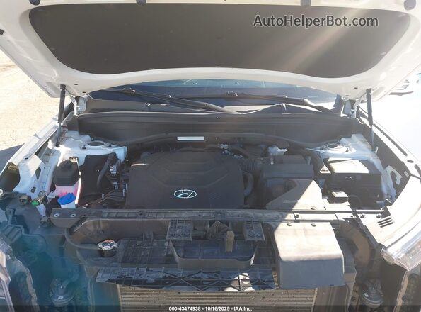KM8R5DHE5MU299401 2021 HYUNDAI PALISADE White Widok z tyłu