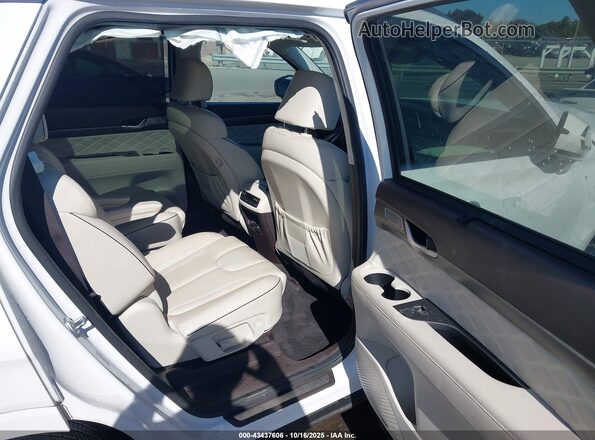 KM8R5DHE6LU096192 2020 HYUNDAI PALISADE White Vista de la etiqueta del VIN