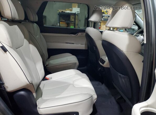 KM8R7DGE4RU728210 2024 HYUNDAI PALISADE Gray Rear interior view