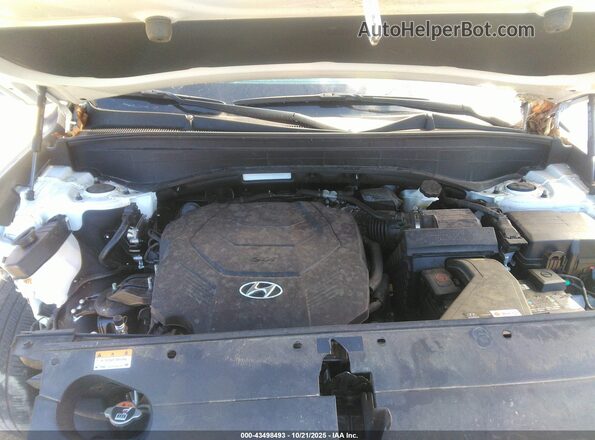 KM8R7DGE6RU650903 2024 HYUNDAI PALISADE White Widok z tyłu