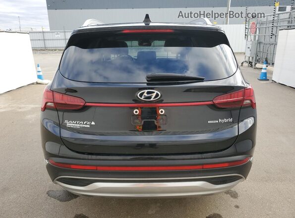 KM8S5DA1XMU009419 2021 HYUNDAI SANTA Black Հետևի տեսք