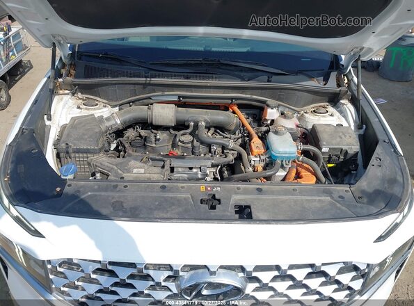 KM8S6DA24NU018916 2022 HYUNDAI SANTA FE PLUG-IN HYBRID Белый 
