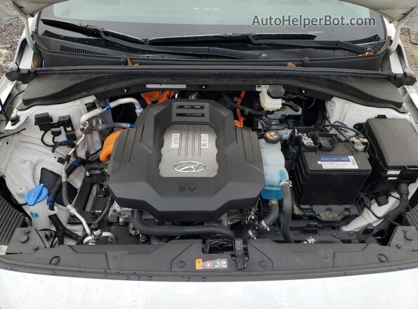 KMHC75LJ3MU079152 2021 HYUNDAI IONIQ Белый Вид задней части салона