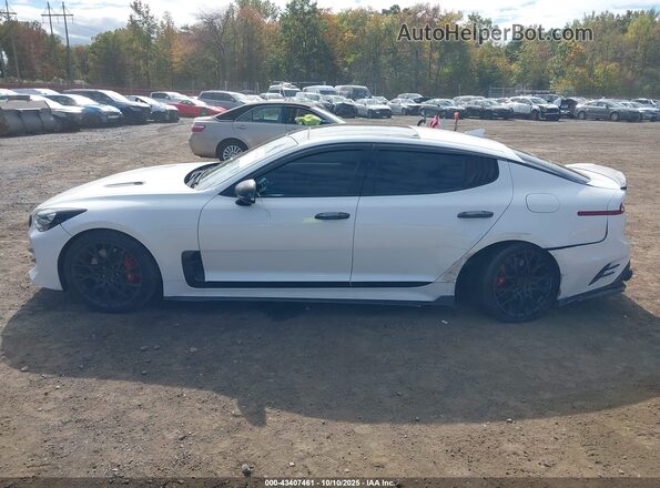 KNAE45LC2M6090281 2021 KIA STINGER White Widok wnętrza 360 stopni