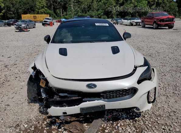 KNAE55LCXK6045888 2019 KIA STINGER White წინა ხედი