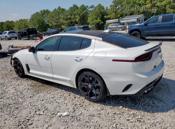KNAE55LCXK6045888 2019 KIA STINGER White უკანა მარცხენა
