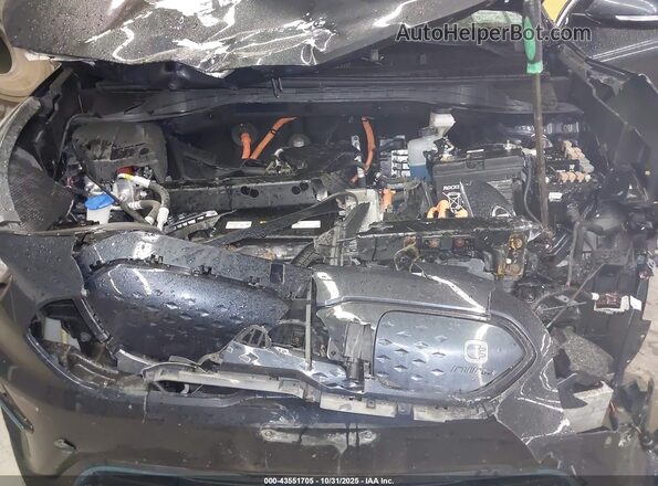 KNDCC3LG8L5070982 2020 KIA NIRO EV Blue Widok z tyłu