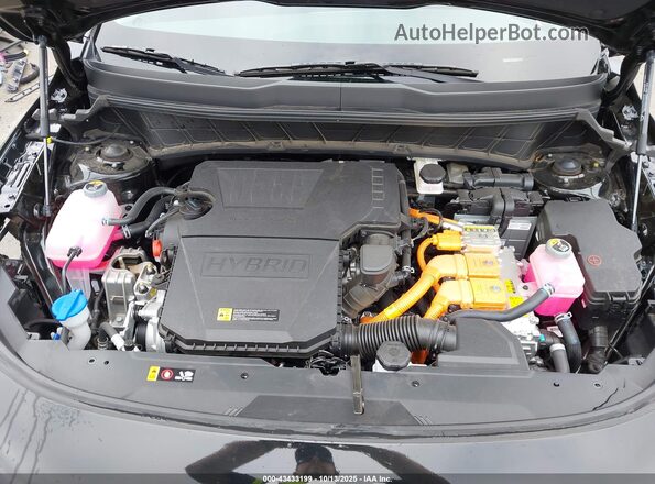 KNDCP3LE0S5277691 2025 KIA NIRO Черный Вид сзади