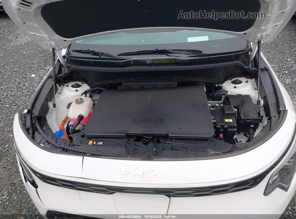 KNDCT3L18P5016566 2023 KIA NIRO EV Белый Вид сзади