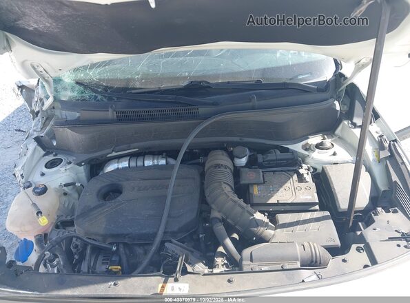 KNDETCA23P7387577 2023 KIA SELTOS White Widok z tyłu