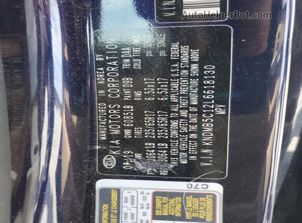 KNDMB5C12L6618130 2020 KIA SEDONA Blue Widok naklejki z numerem VIN