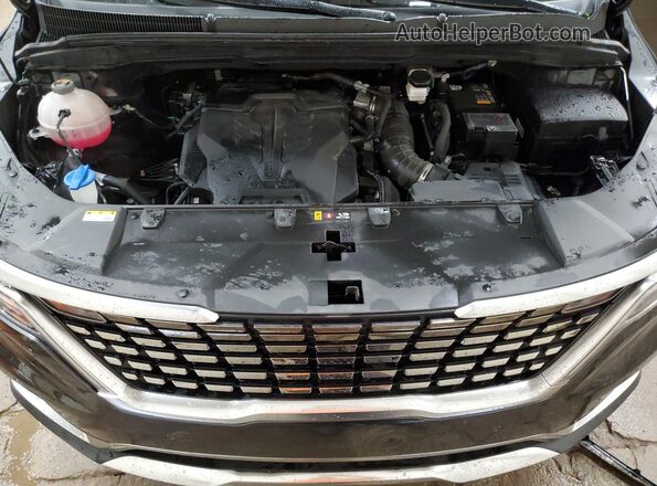 KNDNE5H33R6394218 2024 KIA CARNIVAL Угольный 