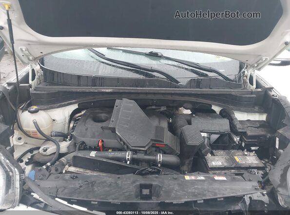 KNDP6CAC0N7952549 2022 KIA SPORTAGE White Вид ззаду