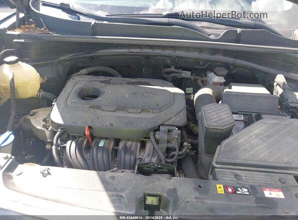 KNDPM3AC3L7791066 2020 KIA SPORTAGE Blue უკანა ხედი