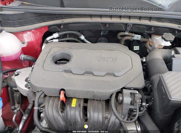 KNDPM3AC3M7902832 2021 KIA SPORTAGE Red Vista trasera
