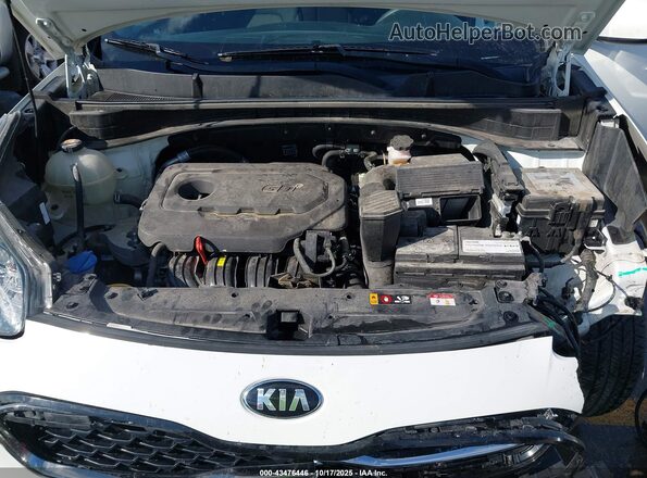 KNDPM3AC7L7736247 2020 KIA SPORTAGE White Вид ззаду