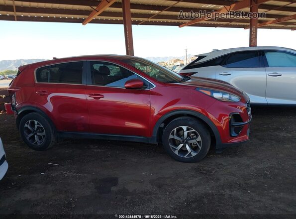 KNDPM3ACXM7881817 2021 KIA SPORTAGE Red Սալոնի հետևի տեսք