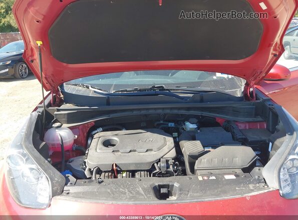 KNDPMCAC8N7023957 2022 KIA SPORTAGE Burgundy Rear view