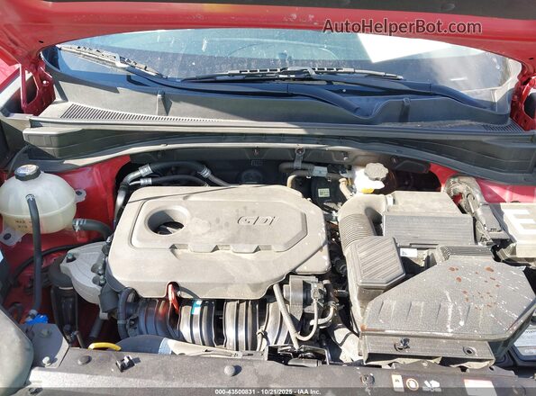 KNDPNCAC0N7984100 2022 KIA SPORTAGE Red Widok z tyłu