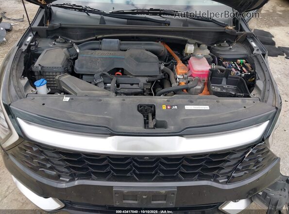 KNDPXCAG2P7055655 2023 KIA SPORTAGE HYBRID Black Widok z tyłu