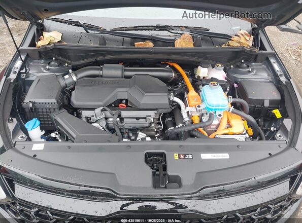 KNDPYDDH1S7269164 2025 KIA SPORTAGE PLUG-IN HYBRID Black Вид ззаду