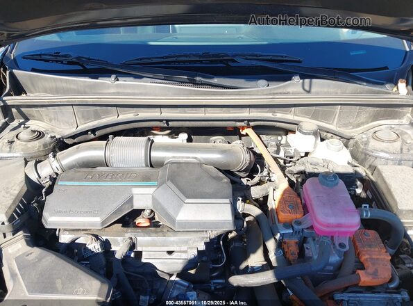 KNDRH4LG6P5217159 2023 KIA SORENTO HYBRID Черный Вид сзади