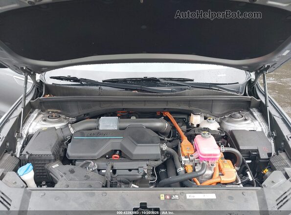 KNDRHDLG0P5161476 2023 KIA SORENTO HYBRID Gray Widok z tyłu