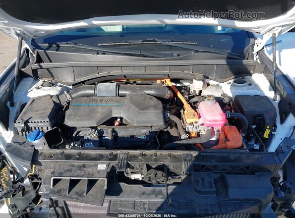 KNDRHDLG8P5194158 2023 KIA SORENTO HYBRID White Rear view