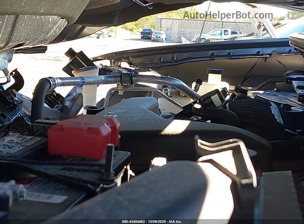 KNMAT2MV2LP531080 2020 NISSAN ROGUE Gray უკანა ხედი