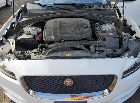 SADCS2FX0KA602311 2019 JAGUAR F-PACE Белый Вид задней части салона