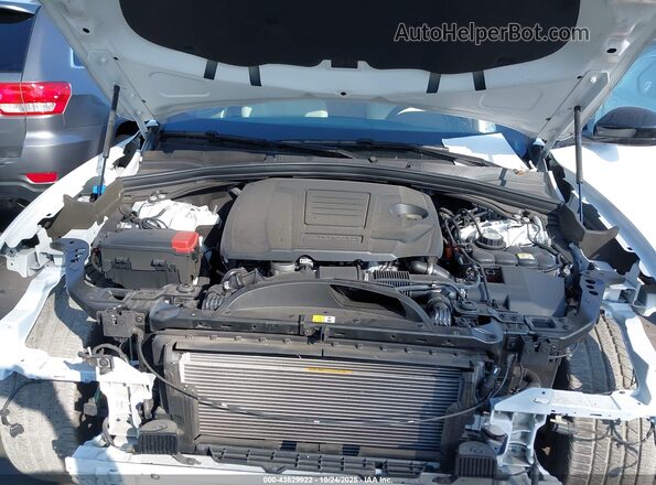 SADCT2EX7RA724950 2024 JAGUAR F-PACE White Widok z tyłu