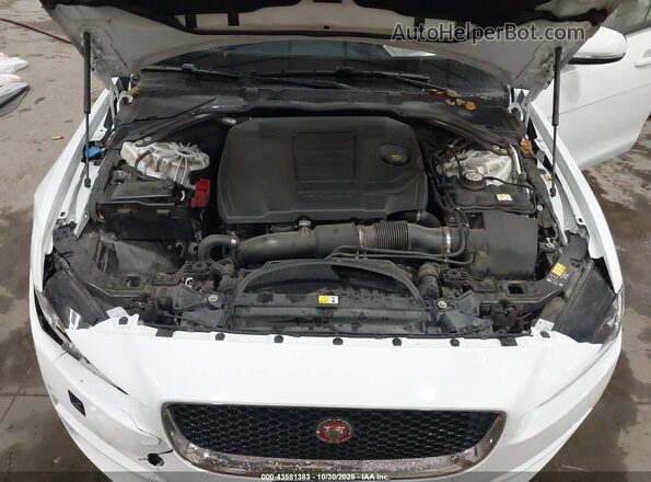 SAJAD4FX6KCP45164 2019 JAGUAR XF White Հետևի տեսք