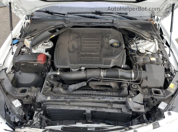 SAJAR4FX5KCP52334 2019 JAGUAR XF Белый Вид задней части салона