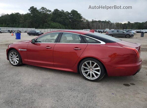SAJWA1C77G8V98283 2016 JAGUAR XJ Burgundy Tył lewy