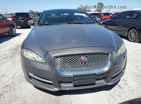 SAJWA2G7XG8V97161 2016 JAGUAR XJL Gray Rear view