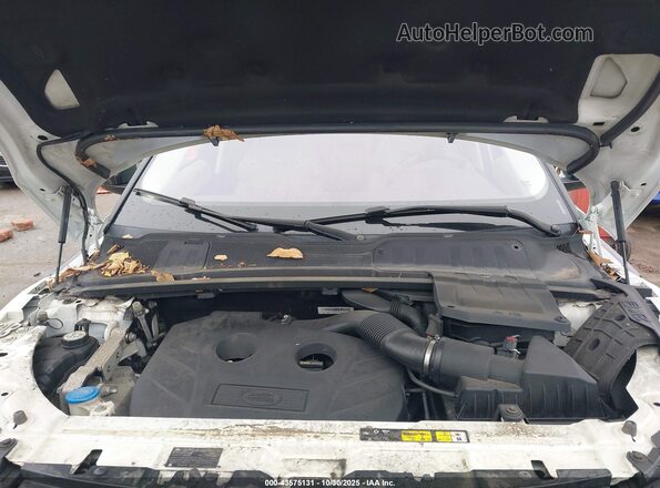 SALVP2BG2GH079179 2016 LAND ROVER RANGE ROVER EVOQUE White Widok z tyłu