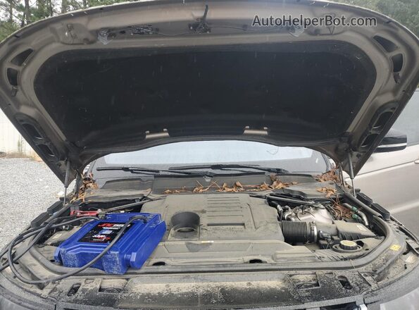 SALWG2SUXMA752234 2021 LAND ROVER RANGE ROVER Tan Vista de la etiqueta del VIN