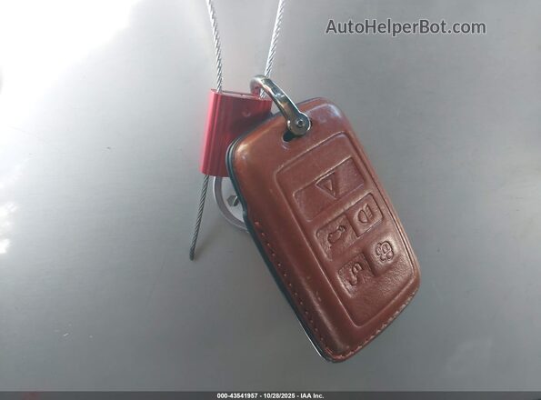 SALZM2GX0LH050079 2020 LAND ROVER RANGE ROVER EVOQUE Brown Vista del salpicadero