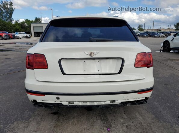 SJAAM2ZV9LC029665 2020 BENTLEY BENTAYGA Белый Вид сзади