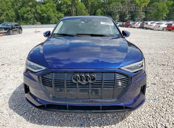 WA1AAAGE1MB008976 2021 AUDI E-TRON Синий Вид спереди