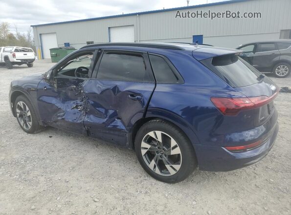 WA1AAAGE2MB017640 2021 AUDI E-TRON Blue Tył lewy
