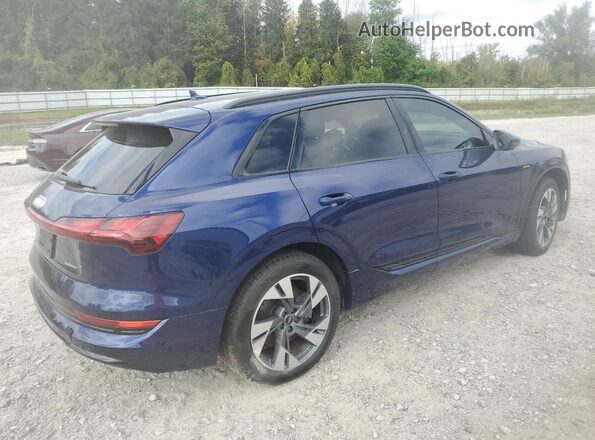 WA1AAAGE2MB017640 2021 AUDI E-TRON Blue Tył prawy